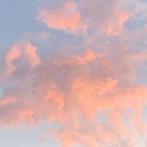 Meet your Posher, Cheyenne